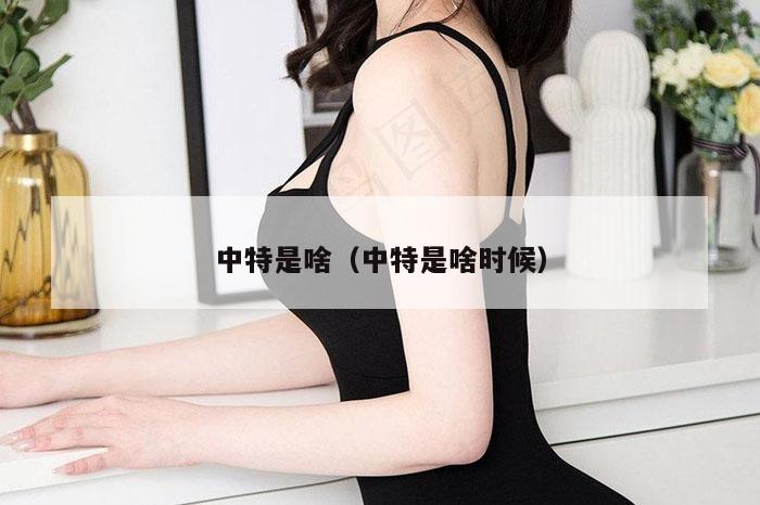 中特是啥（中特是啥时候）