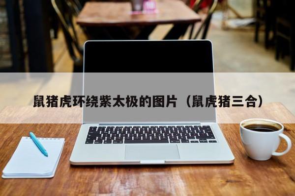 鼠猪虎环绕紫太极的图片（鼠虎猪三合）
