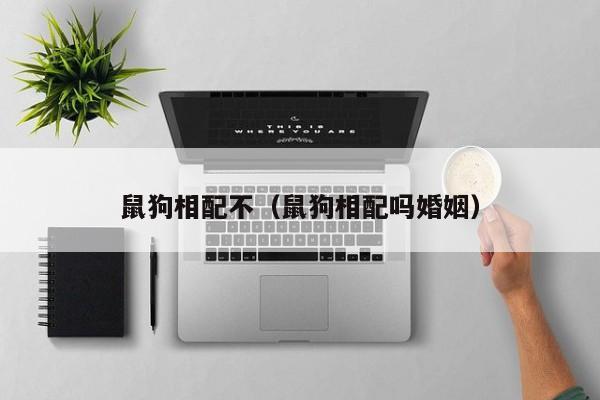 鼠狗相配不（鼠狗相配吗婚姻）