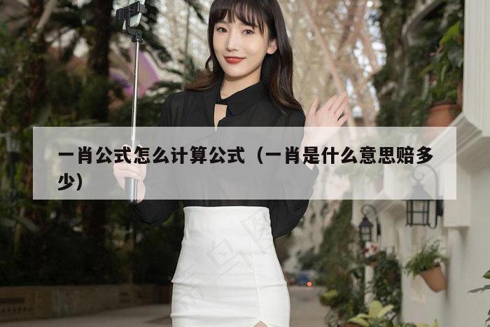 一肖公式怎么计算公式（一肖是什么意思赔多少）